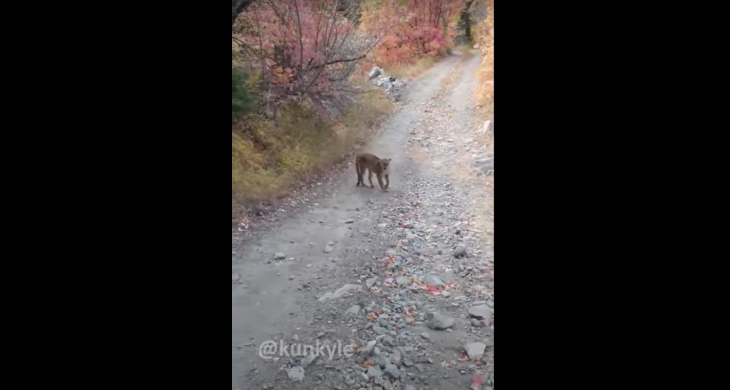 Capture d'écran / Youtube Kunkyle z