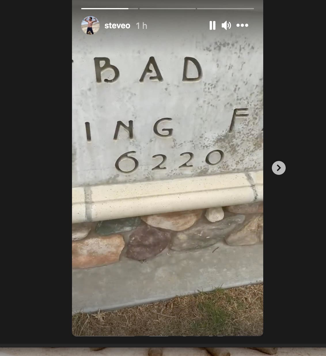 Capture d'écran / YouTube Steve-O