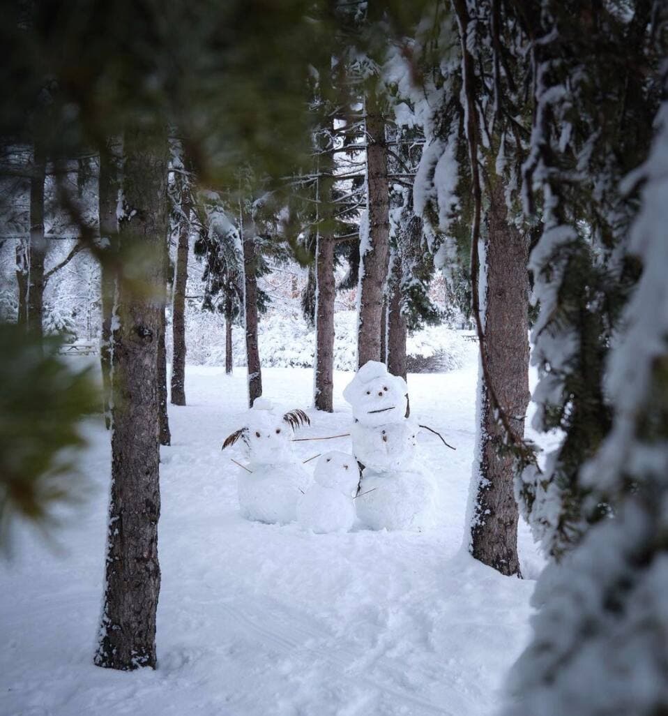 Instagram : @arnaud_molle