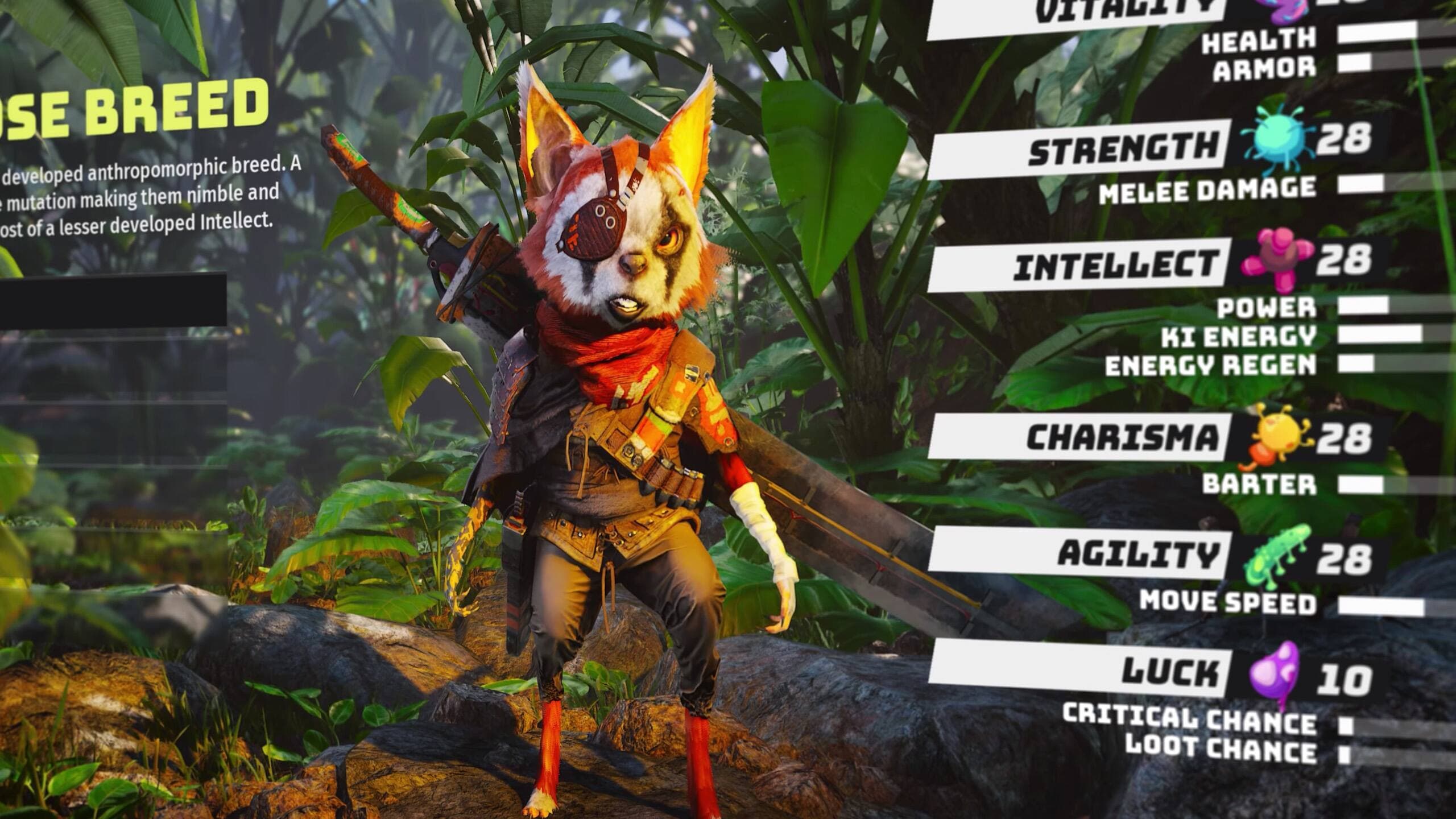 Capture d'écran YouTube