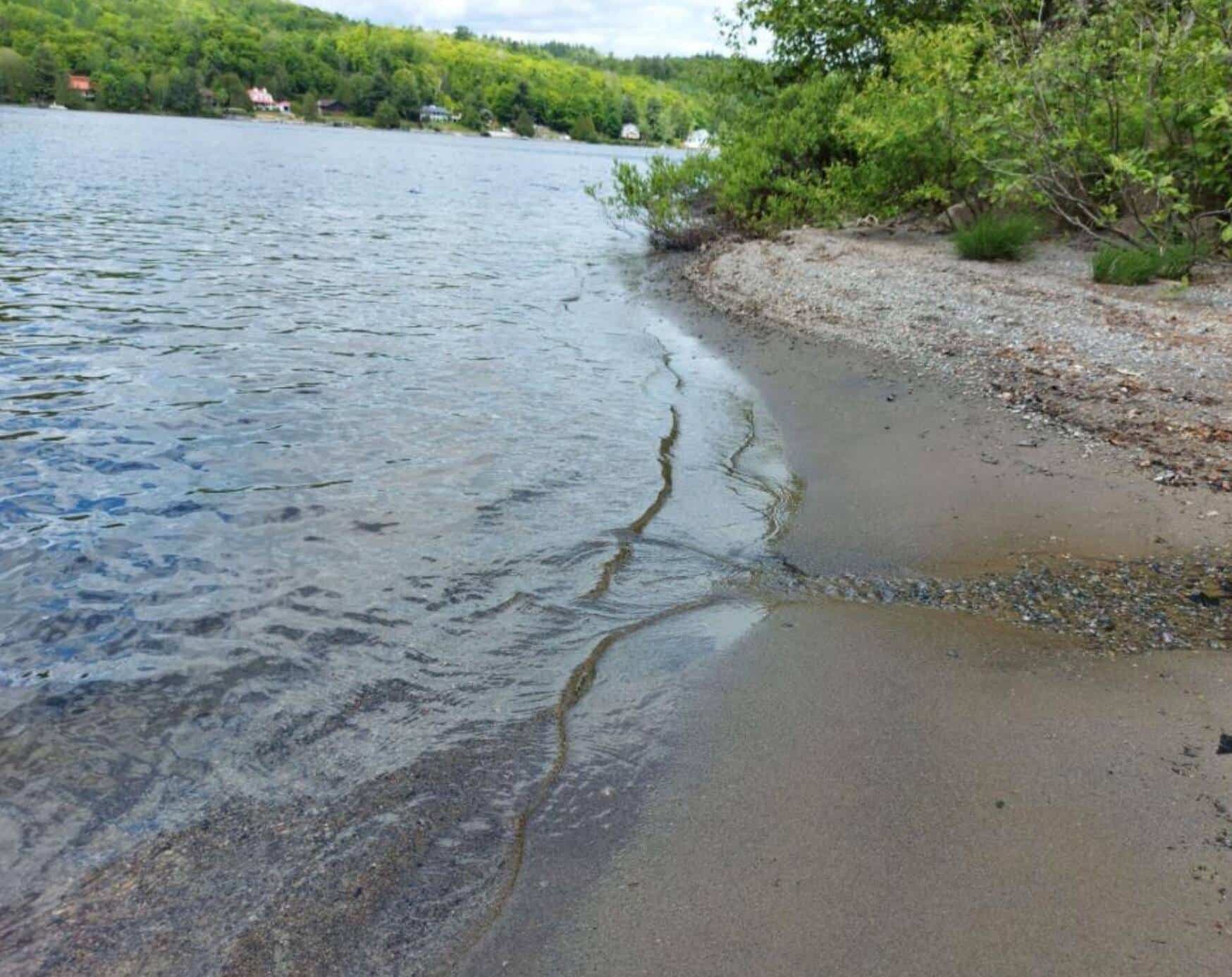 Carmen Dion / Immeubles des Hauteurs