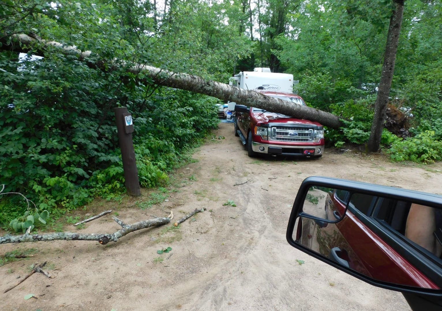 Un arbre est tombé mardi soir sur une camionnette au terrain de camping du parc Leslie à Otter Lake, en Outaouais