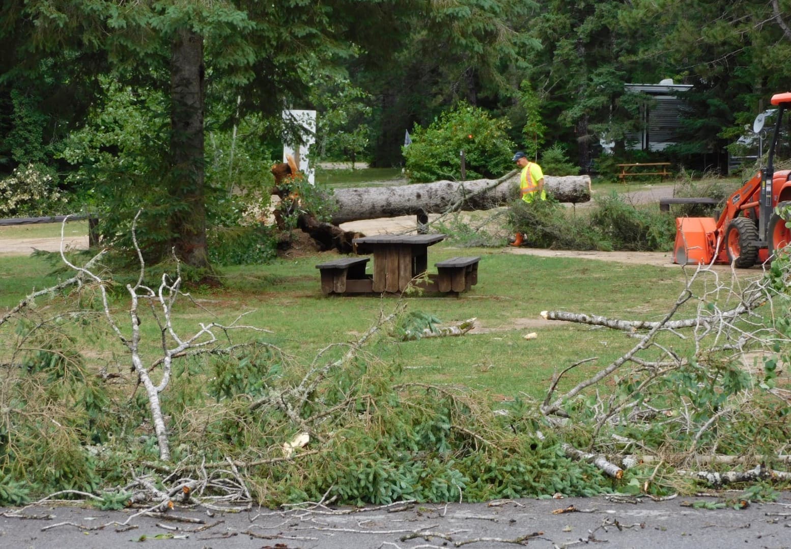 Une trentaine d’arbres ont été arrachés de terre par des microrafales atteignant jusqu'à 95 km/h mardi soir au terrain de camping du parc Leslie à Otter Lake, en Outaouais.