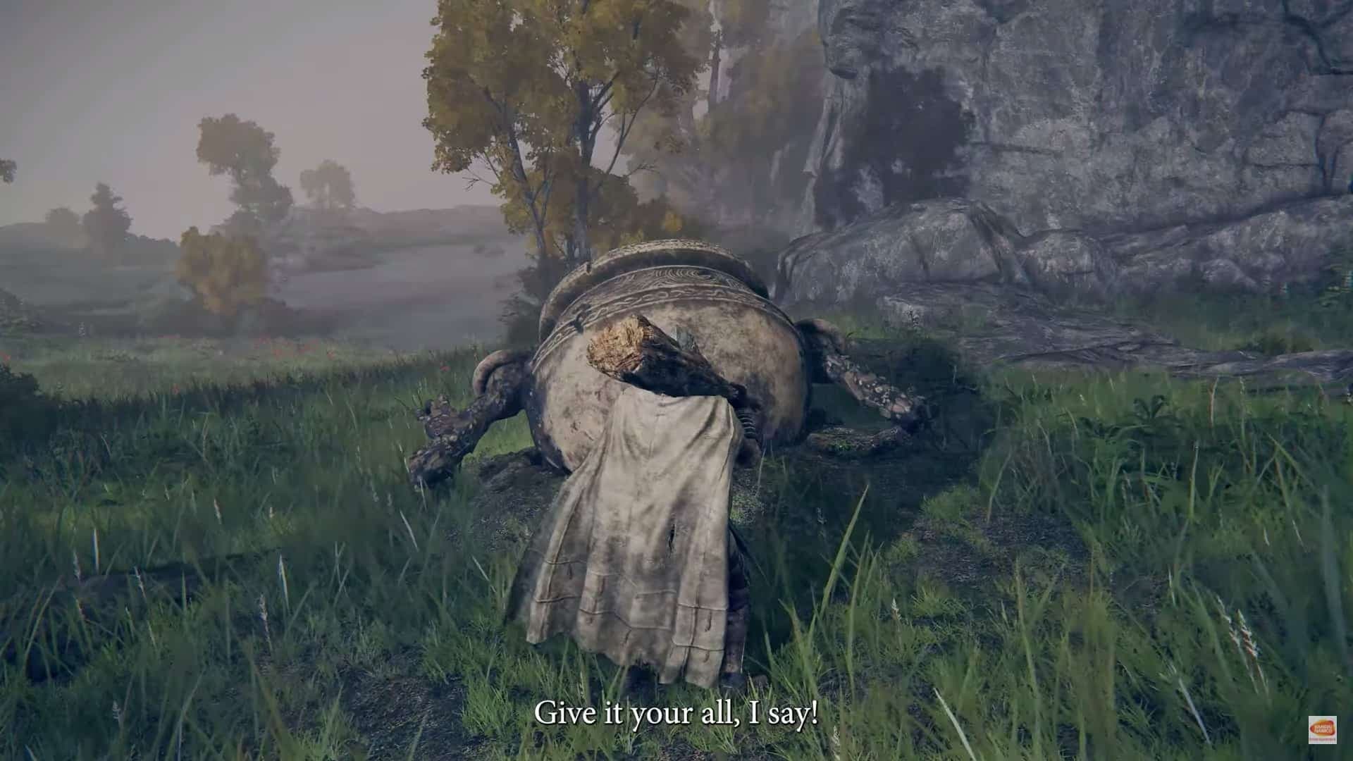 Capture d'écran FromSoftware/Bandai Namco