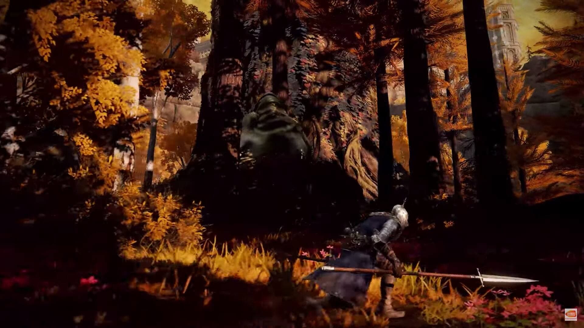 Capture d'écran FromSoftware/Bandai Namco