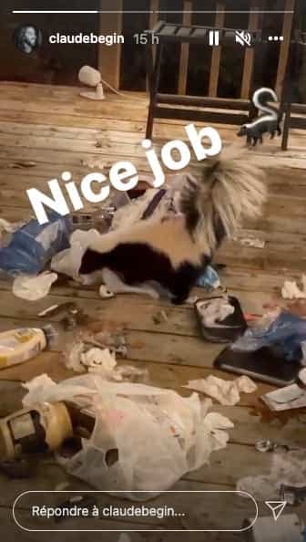 Instagram Claude Bégin