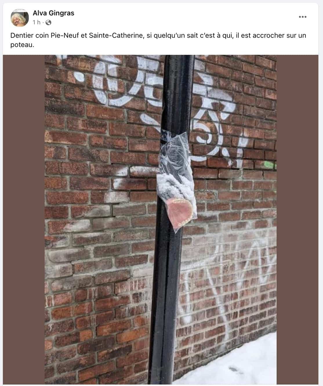 Capture d'écran / Facebook Hochelaga MON Quartier