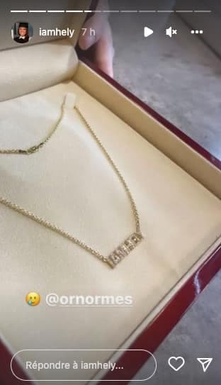 Capture d'écran / Instagram @iamhely