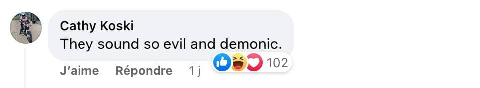 Capture d'écran / Facebook