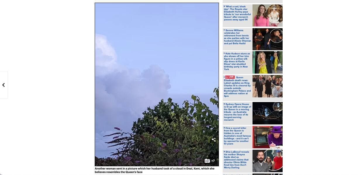 Capture d'écran / dailymail.co.uk