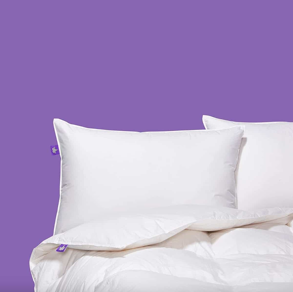 Courtoisie Canadian Down and feather company