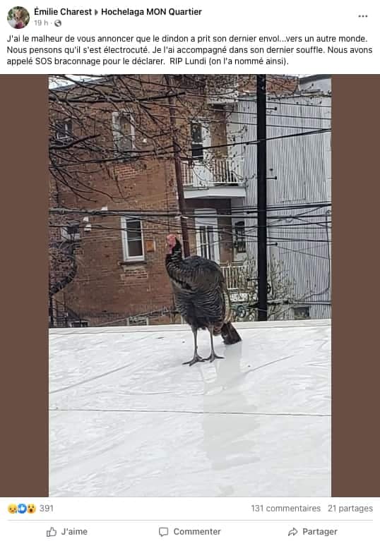 Capture d'écran tirée de Facebook