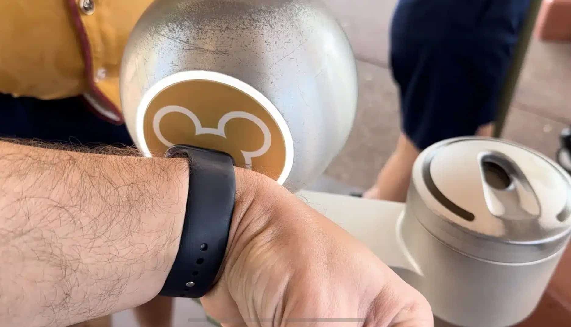 Courtoisie guide2wdw.com