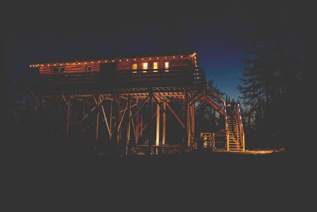 Entre Lemoine et l'arbre