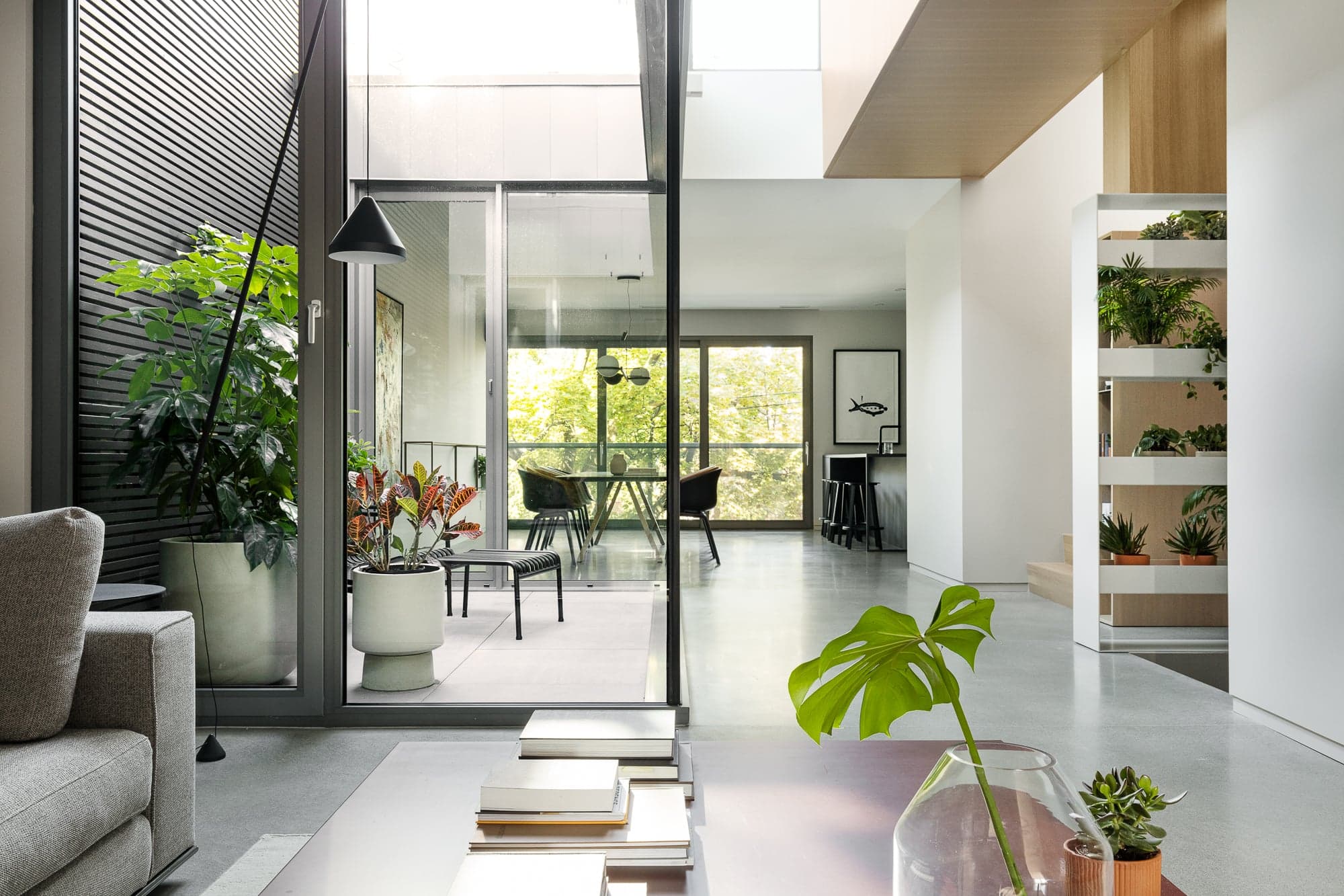 Maxime Brouillet - photographe