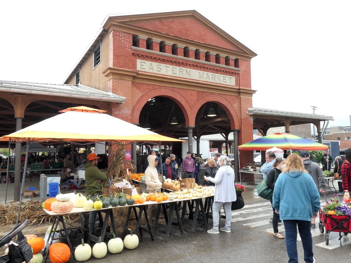 Photo : Mathieu Carbasse