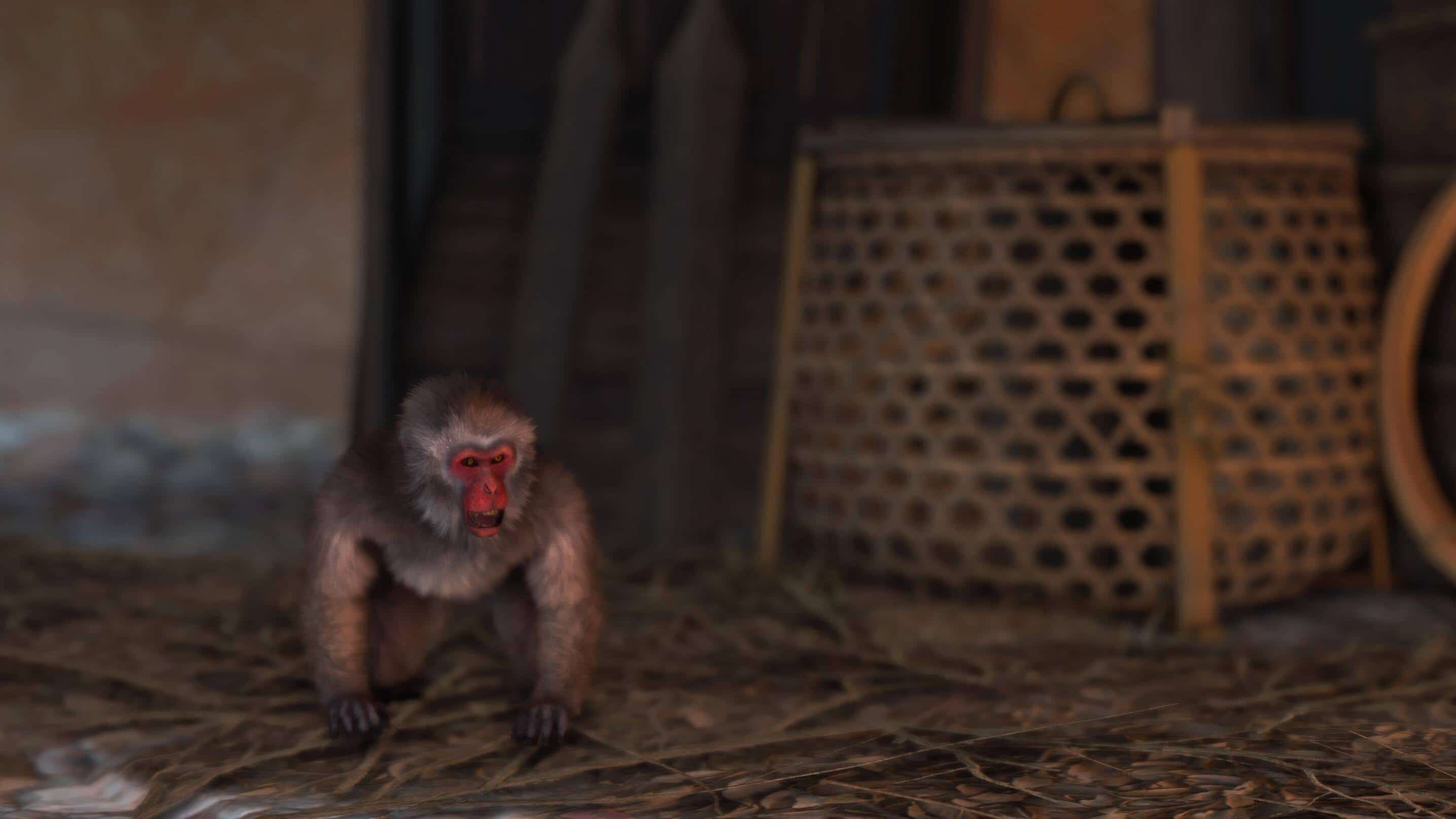 Capture d'écran PS5 / Raphaël Lavoie
