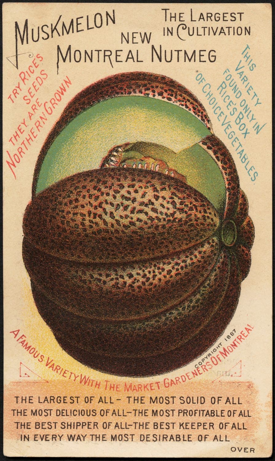 Wikipedia (Boston Public Library)