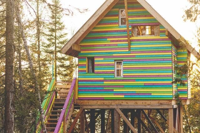 Entre Lemoine et l'arbre