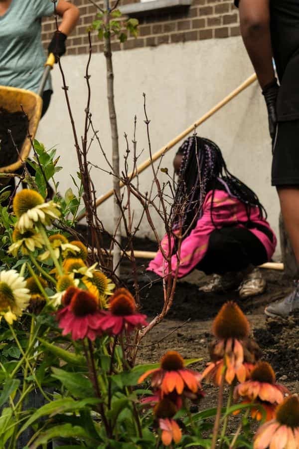 115 bénévoles ont dépavé à la main 172 m2 d’asphalte du site de l’immeuble à logements Jacques-Cartier (OMHQ) du quartier Saint-Roch, à Québec.