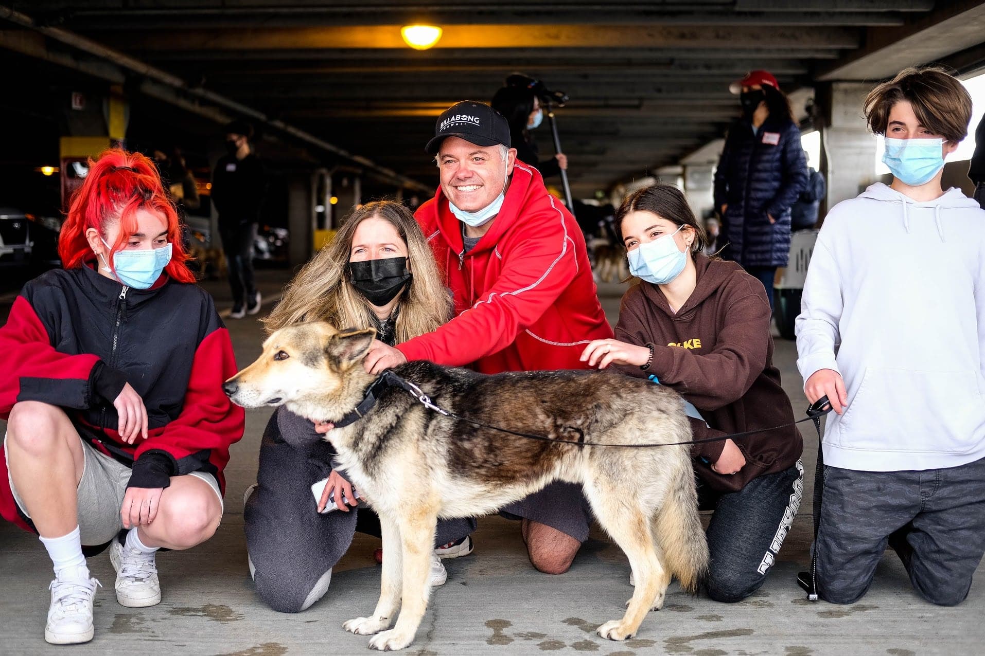 Rescue DOGS from Lebanon-CANADA