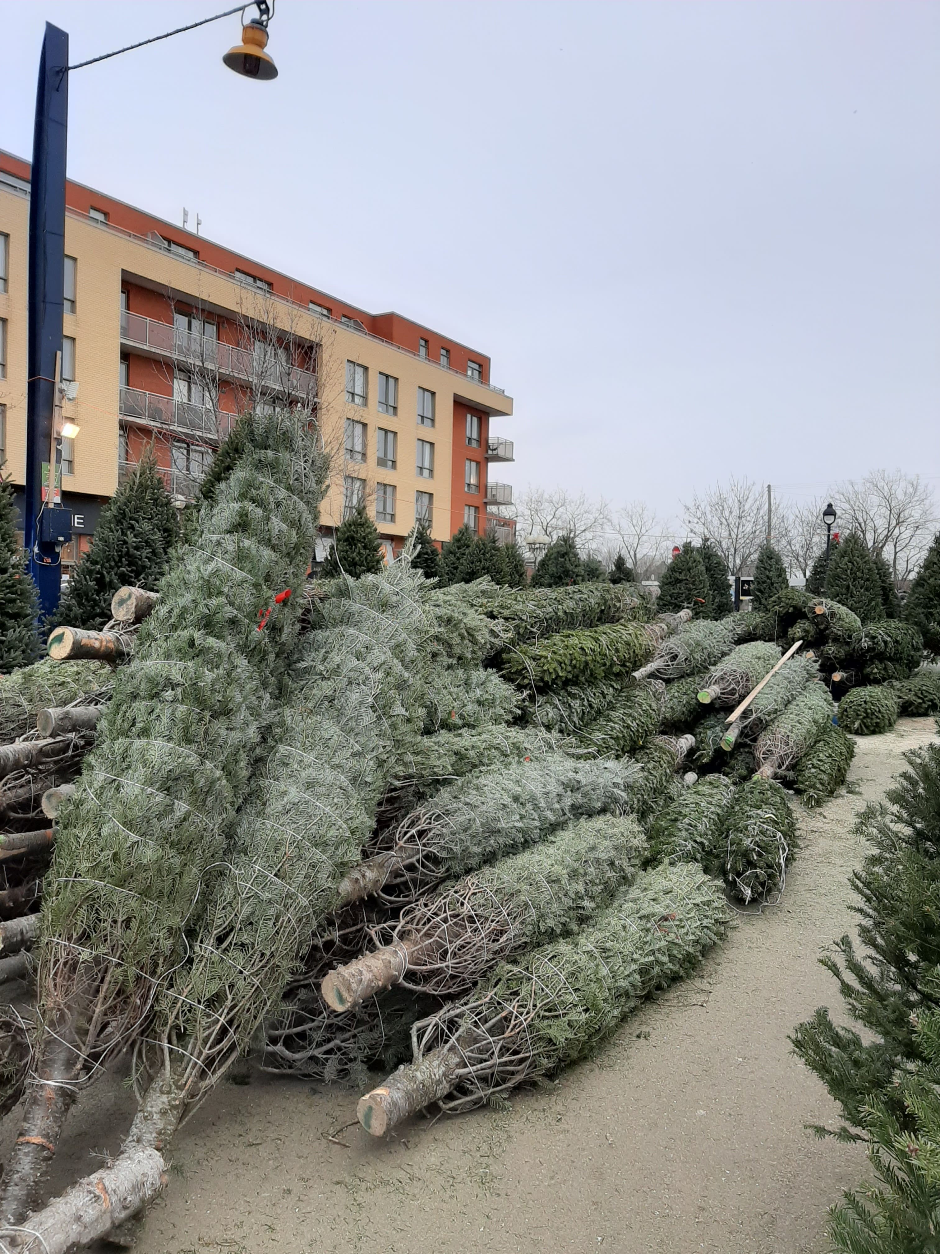 CAMILLE LALANCETTE/24 HEURES/AGENCE QMI