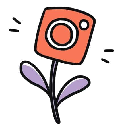 Illustration Ana Roy