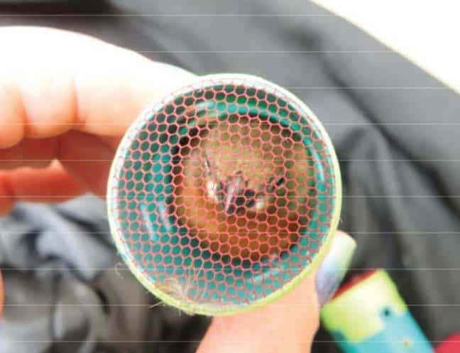 Photo US Attorney’s Office for the Eastern District of New York