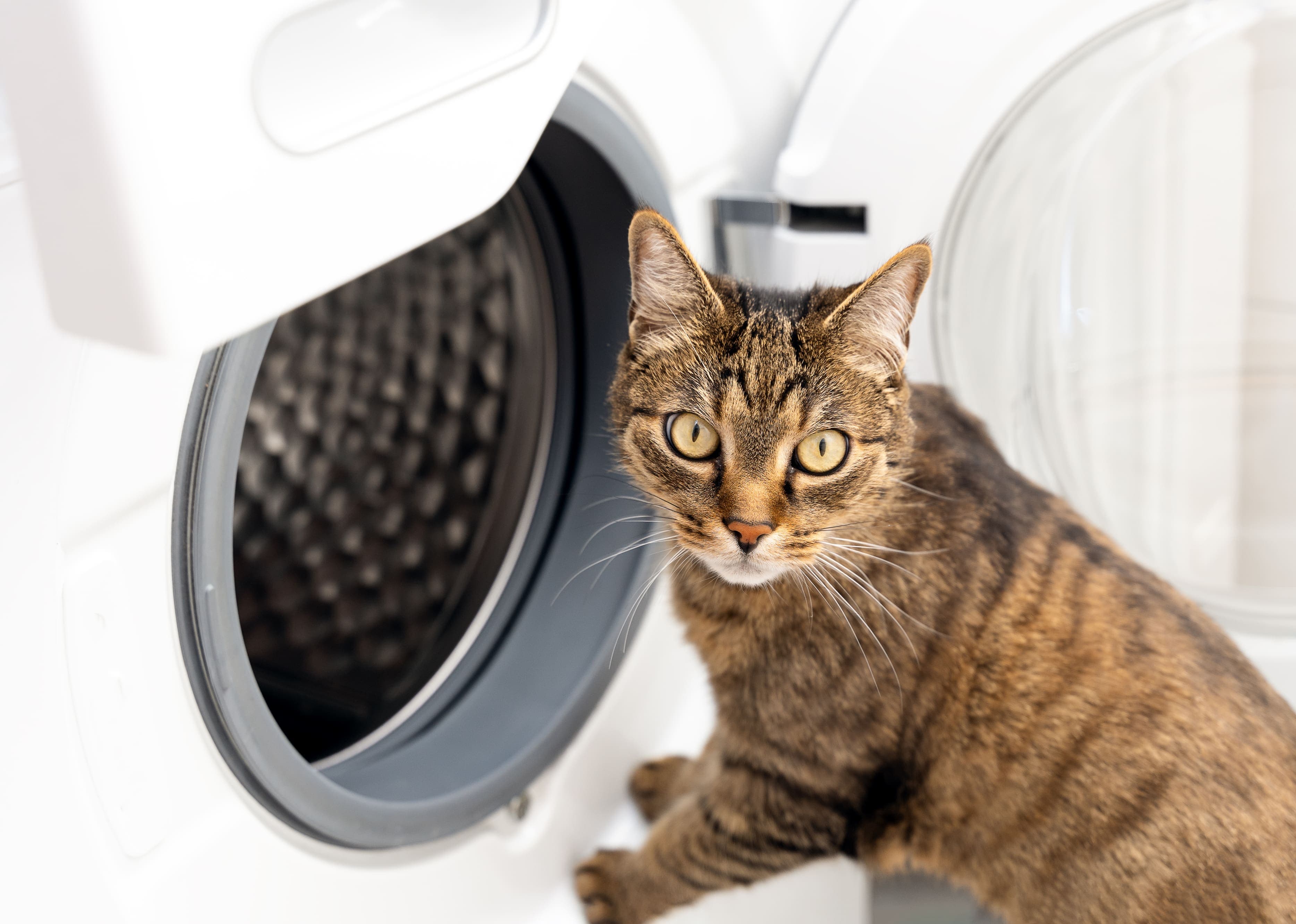 Getty Images/iStockphoto